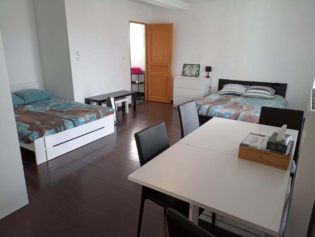 Studio indépendant 40m² avec jardin privé Hauteville-Lompnes Exterior foto